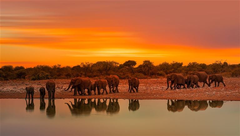 Namibia Entdeckungstour ©muratart /adobestock